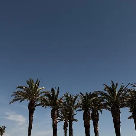 شقة Santo Cinco *